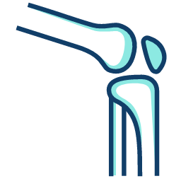 Fisioterapia
